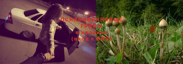 mdma Богородицк